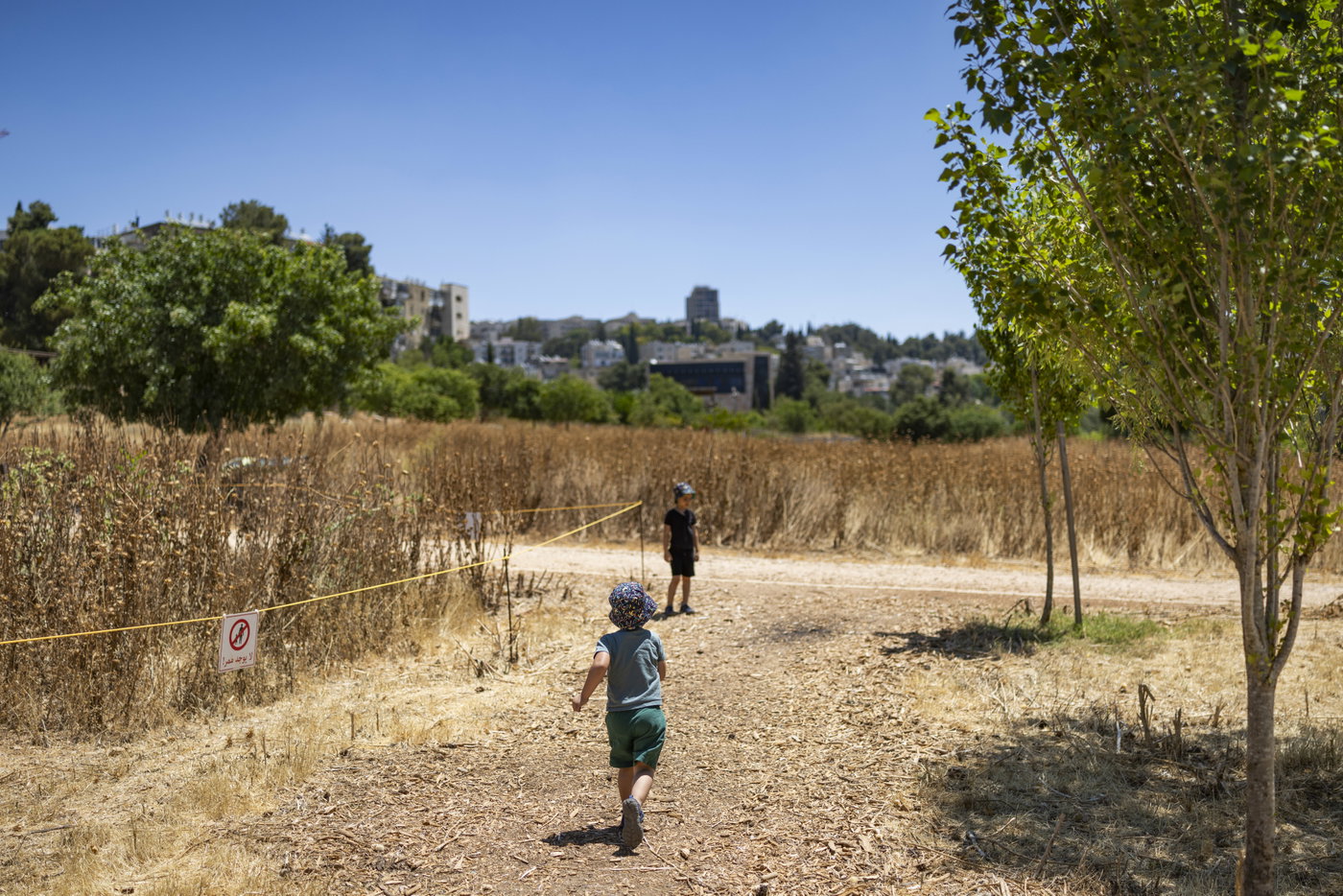 מטפטופים בבוקר ועד להתחממות: התהפוכות של מזג האוויר השבוע