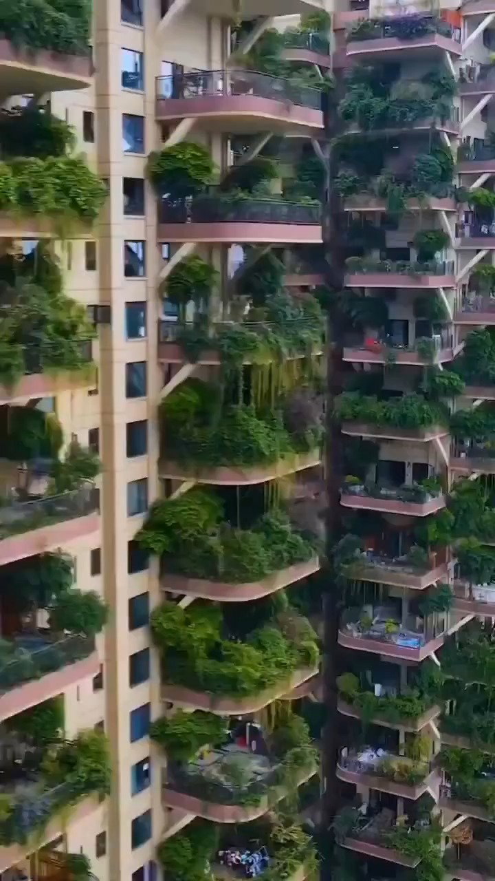 פרויקט המגורים Qiyi City Forest Garden