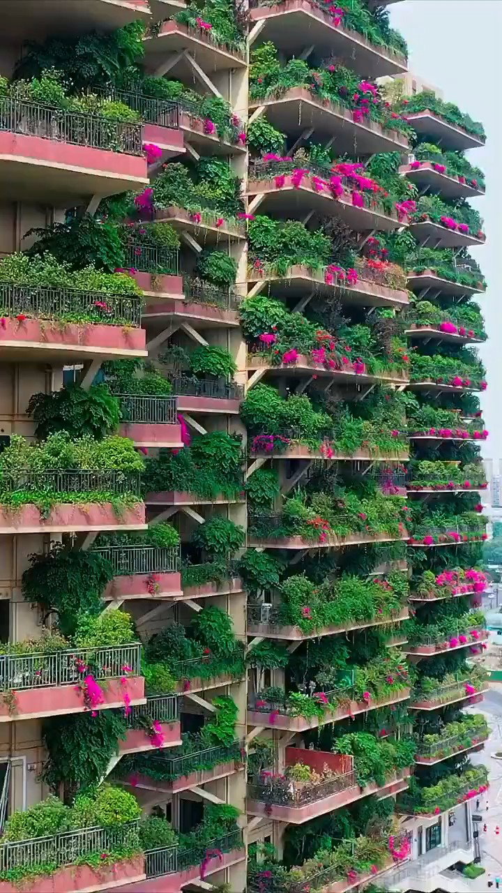 פרויקט המגורים Qiyi City Forest Garden