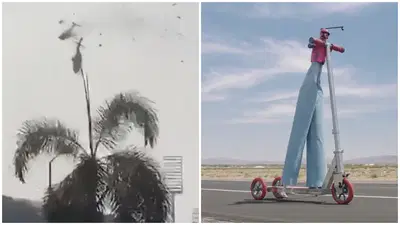 נפל מקורקינט ששבר את הרשת ונהרג בהתנגשות מסוקים בברזיל

