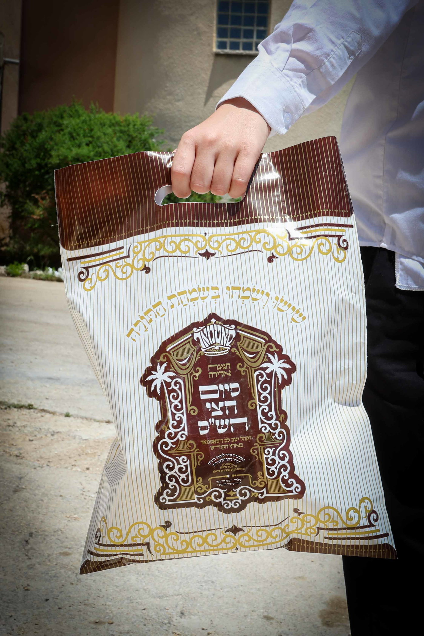 שבת התאחדות של סאטמר בצפת