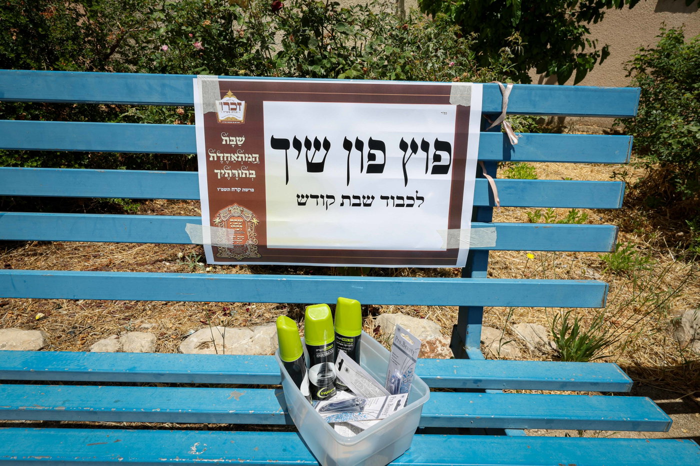 שבת התאחדות של סאטמר בצפת