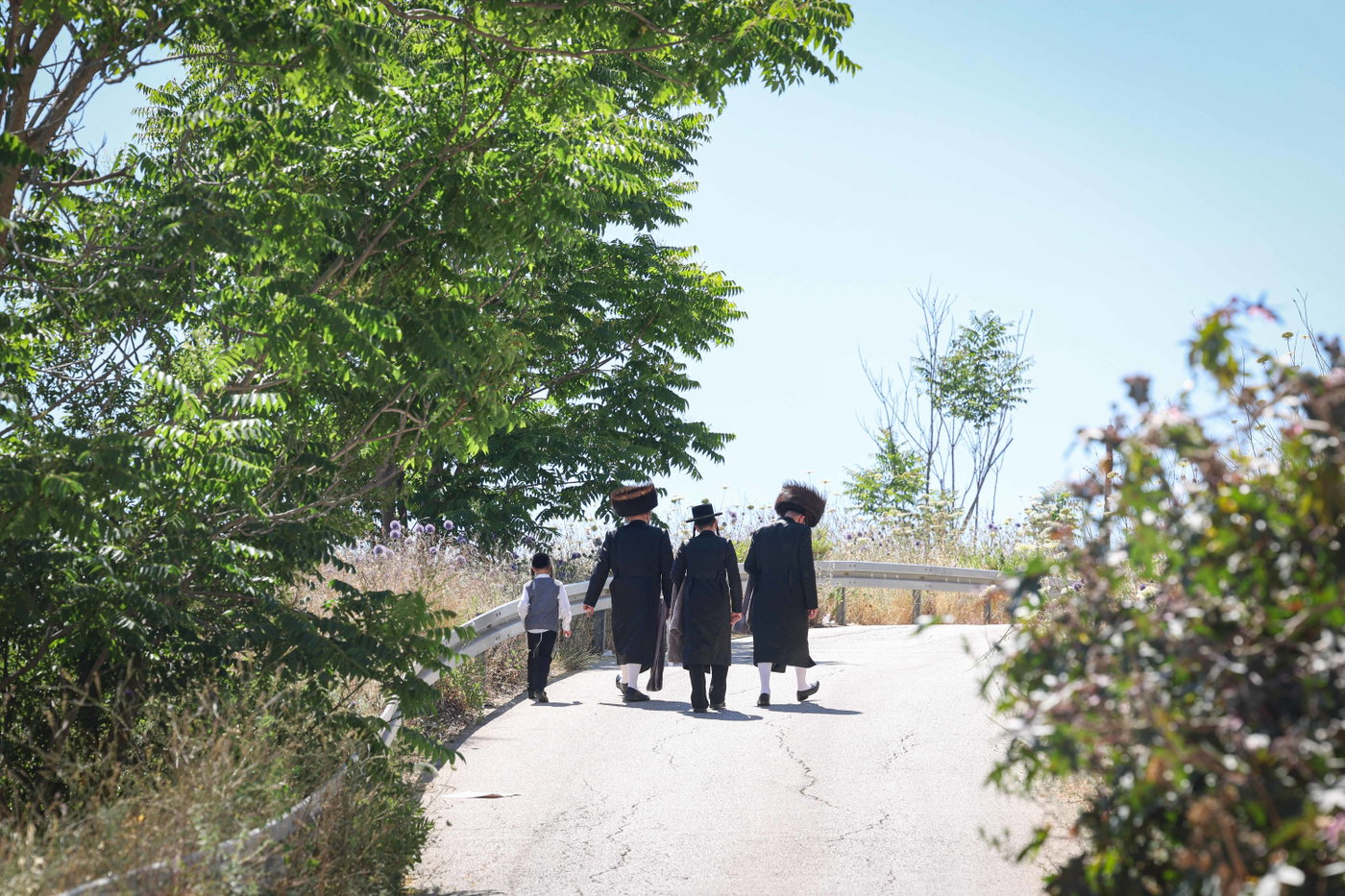 שבת התאחדות של סאטמר בצפת