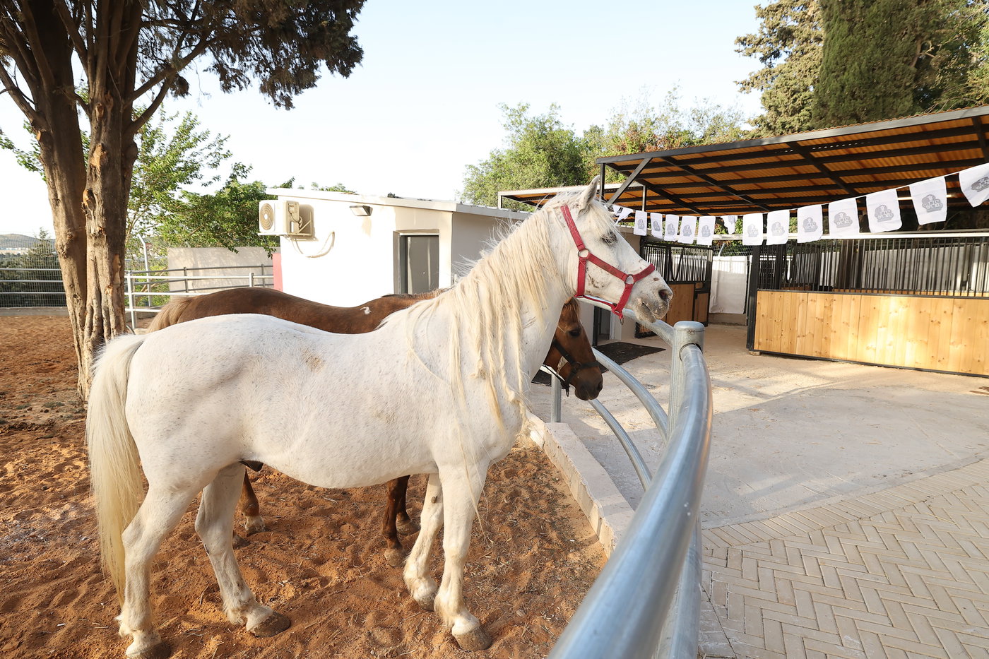 בחנוכת המתחם החדש של 'דרכי שלום'