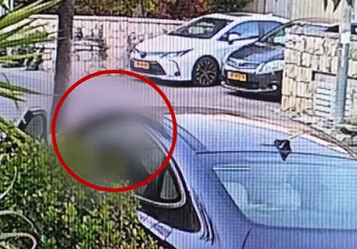 "ידיים למעלה! צא": השוטרת זינקה על הבחור הצעיר שנכנס לרכב | צפו
