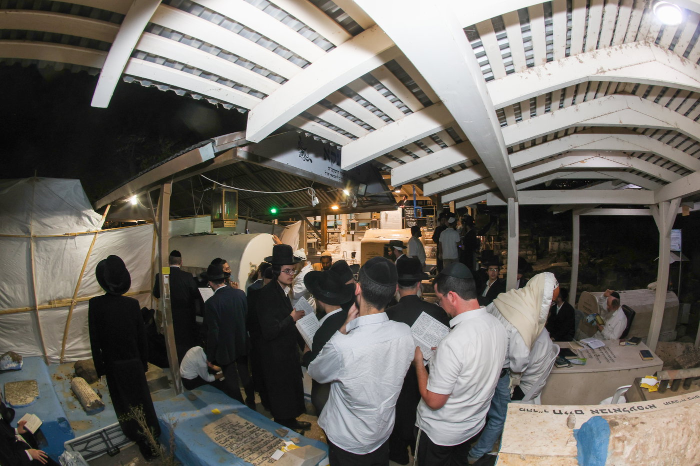 הילולת הרה"ק מהורדנקא בעיה"ק טבריה