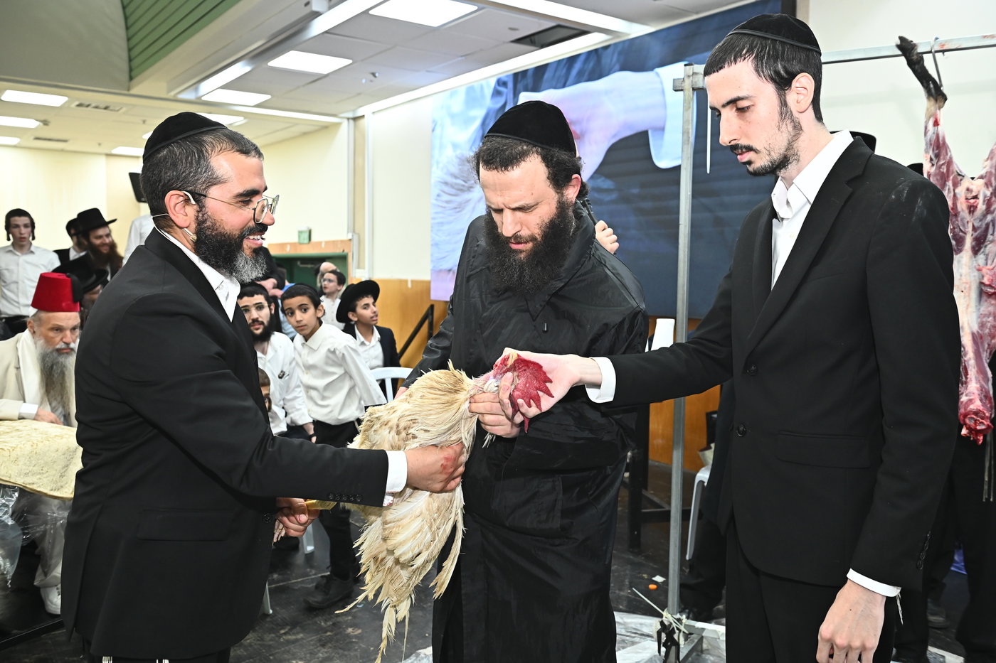 מעמד שחיטת כבש בבני ברק