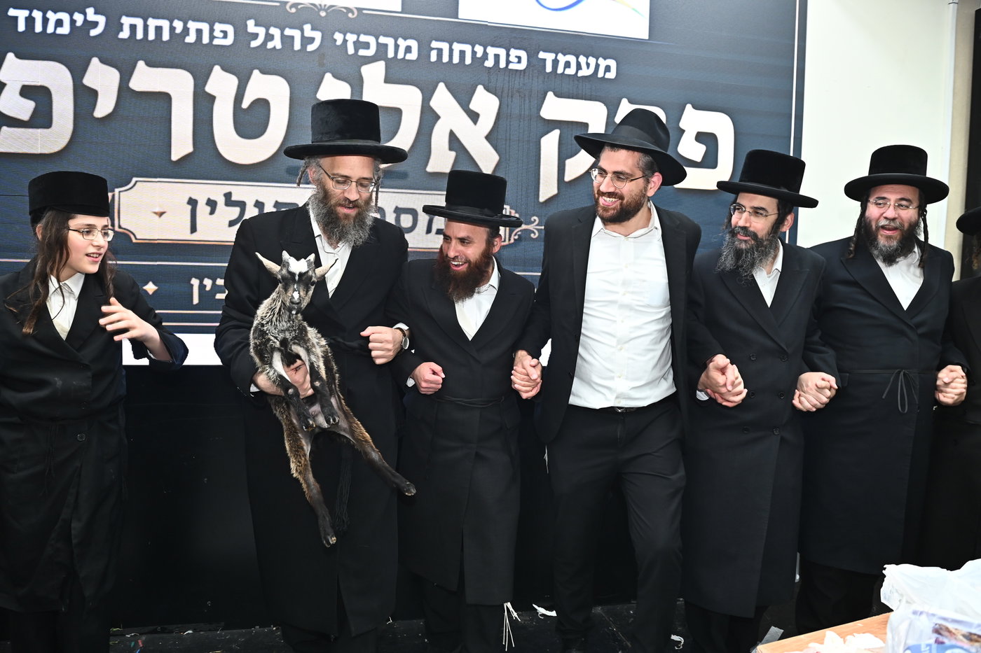 מעמד שחיטת כבש בבני ברק