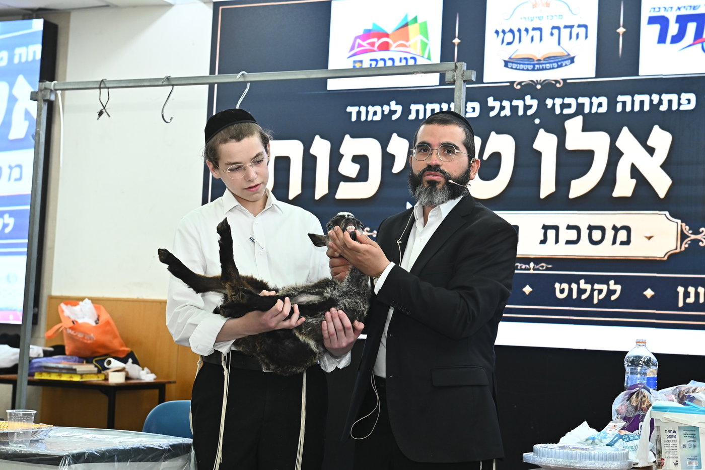 מעמד שחיטת כבש בבני ברק
