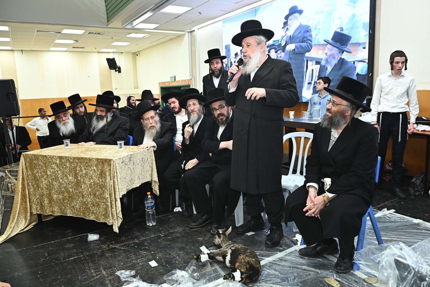 מעמד שחיטת כבש בבני ברק
