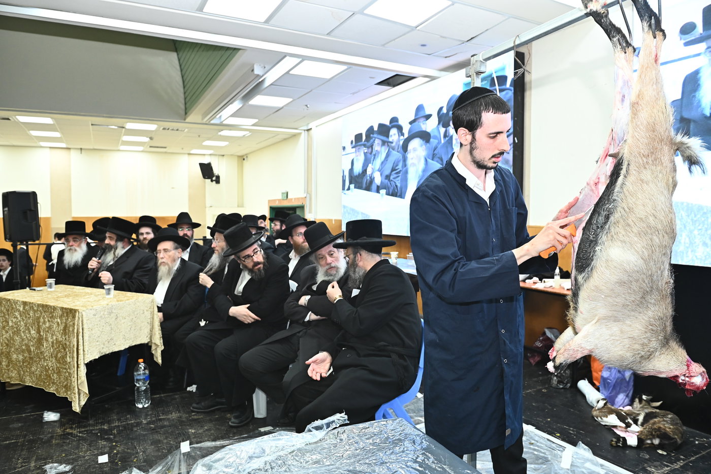 מעמד שחיטת כבש בבני ברק