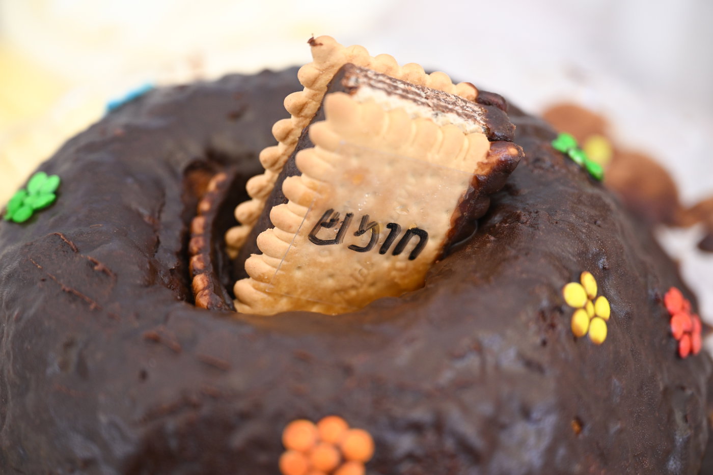 מסיבת חומש בנדבורנה