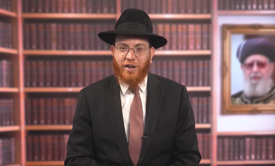 צ'יפס בשמן בשרי: האם צריך להמתין אחריו שש שעות? • צפו