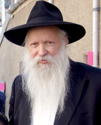 הרב יצחק גינזבורג