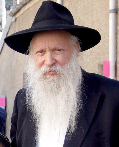 הרב יצחק גינזבורג