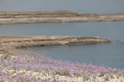 מזג האוויר לסוף השבוע: עלייה קלה בטמפרטורות; נוח ורגיל לעונה