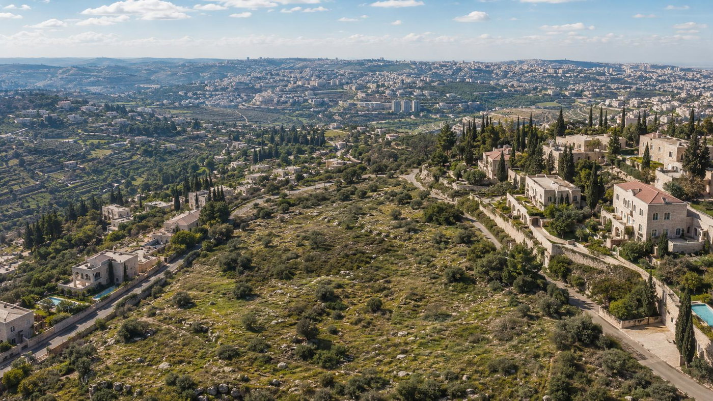 הדמיה להמחשה בלבד