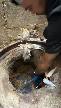 השוטר הכניס את היד עמוק לתוך תעלת ביוב בחצר הדירה - וזה מה ששלף