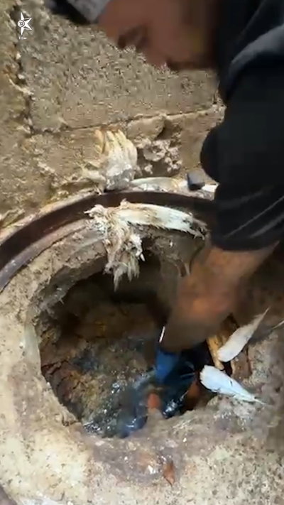 השוטר הכניס את היד עמוק לתוך תעלת ביוב בחצר הדירה - וזה מה ששלף