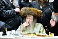שמחת בית לעלוב ניקלשבורג - הארנאסטייפל - זוויעהל - אלכסנדר