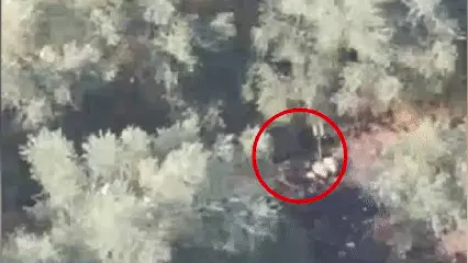 בתגובה לפגיעה בלוחמים: צה"ל חיסל מפקד בכיר ביחידת 'בדר' של חיזבאללה