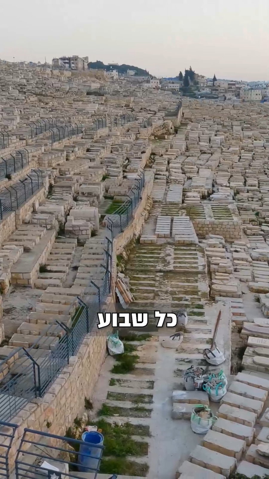 למדו 'אור החיים' בכל שבוע - וראו ישועה מעל הטבע | צפו ברבי אלימלך בידרמן