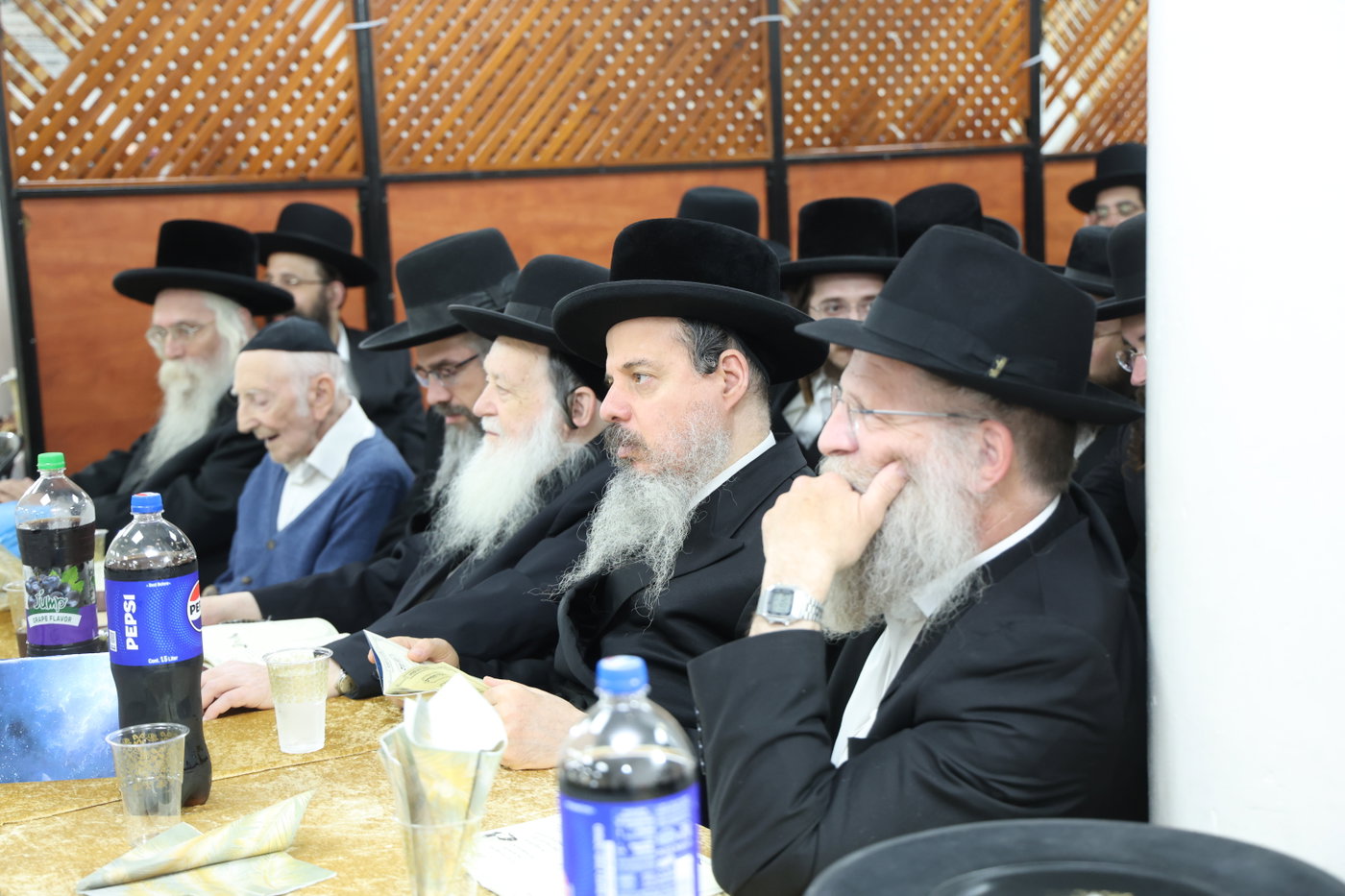מסיבת חומש בערלוי
