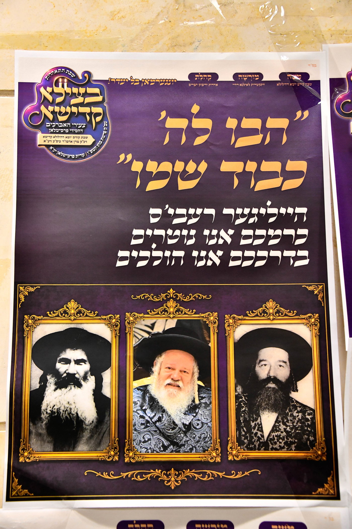 הילולא קדישא בפרמישלאן