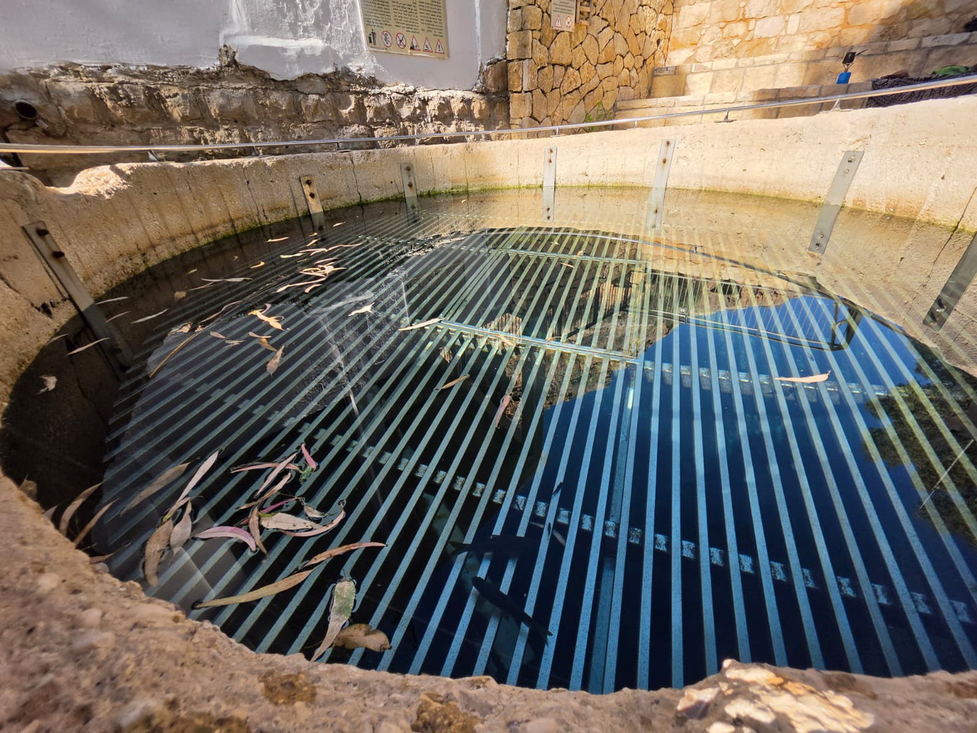 תיעוד מהבוקר של המעיין הפועם עין מבוע