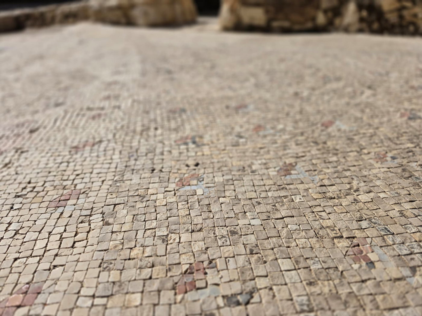 פסיפס עתיק בעין מבוע שריד לתקופה הביזנטית בה פעלו במקום כנסיות