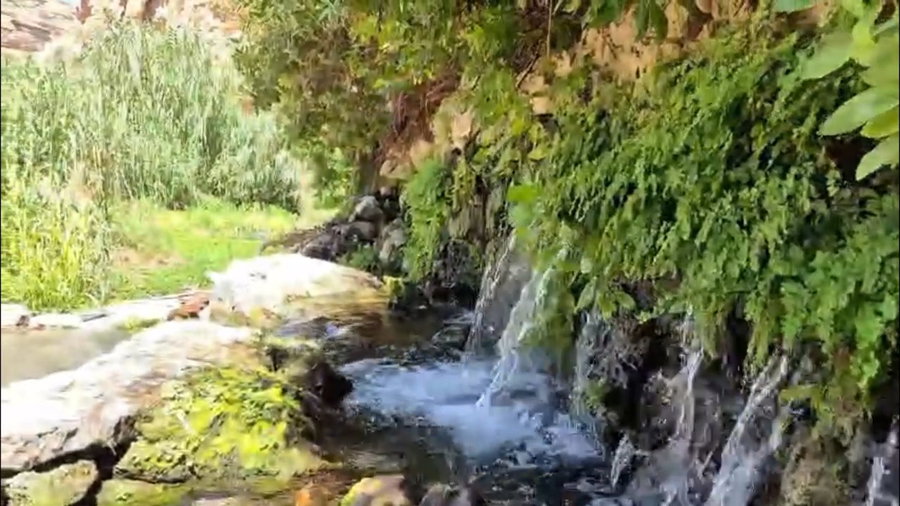 שמורת הטבע נחל פרת - עין מבוע