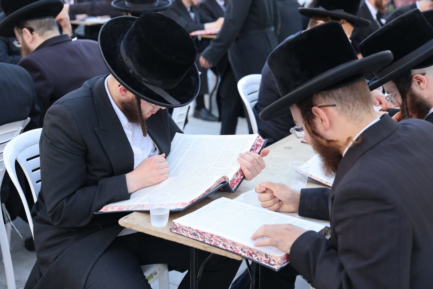 עם גמרות, חברותות ושלטים: החלה הפגנת ויז'ניץ מרכז מול משרד היועמ"שית 