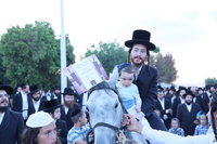 בשירת "ככה ייעשה לאיש": אסיר עולם התורה התקבל על סוס ושטיח אדום | צפו 