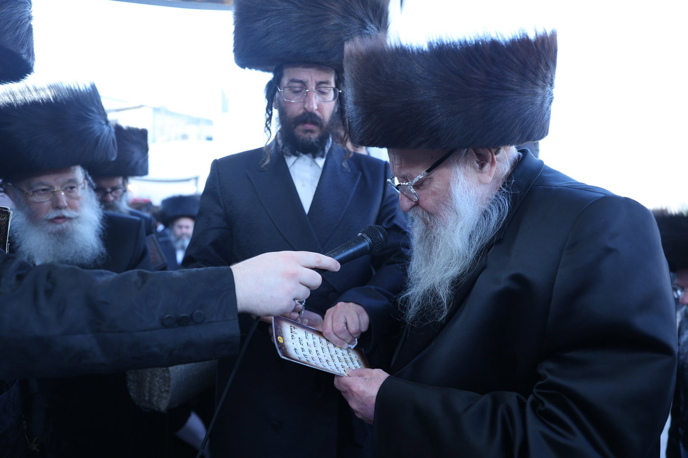 שמחת החתונה הגדולה, לנכדת האדמו"ר ממישקולץ