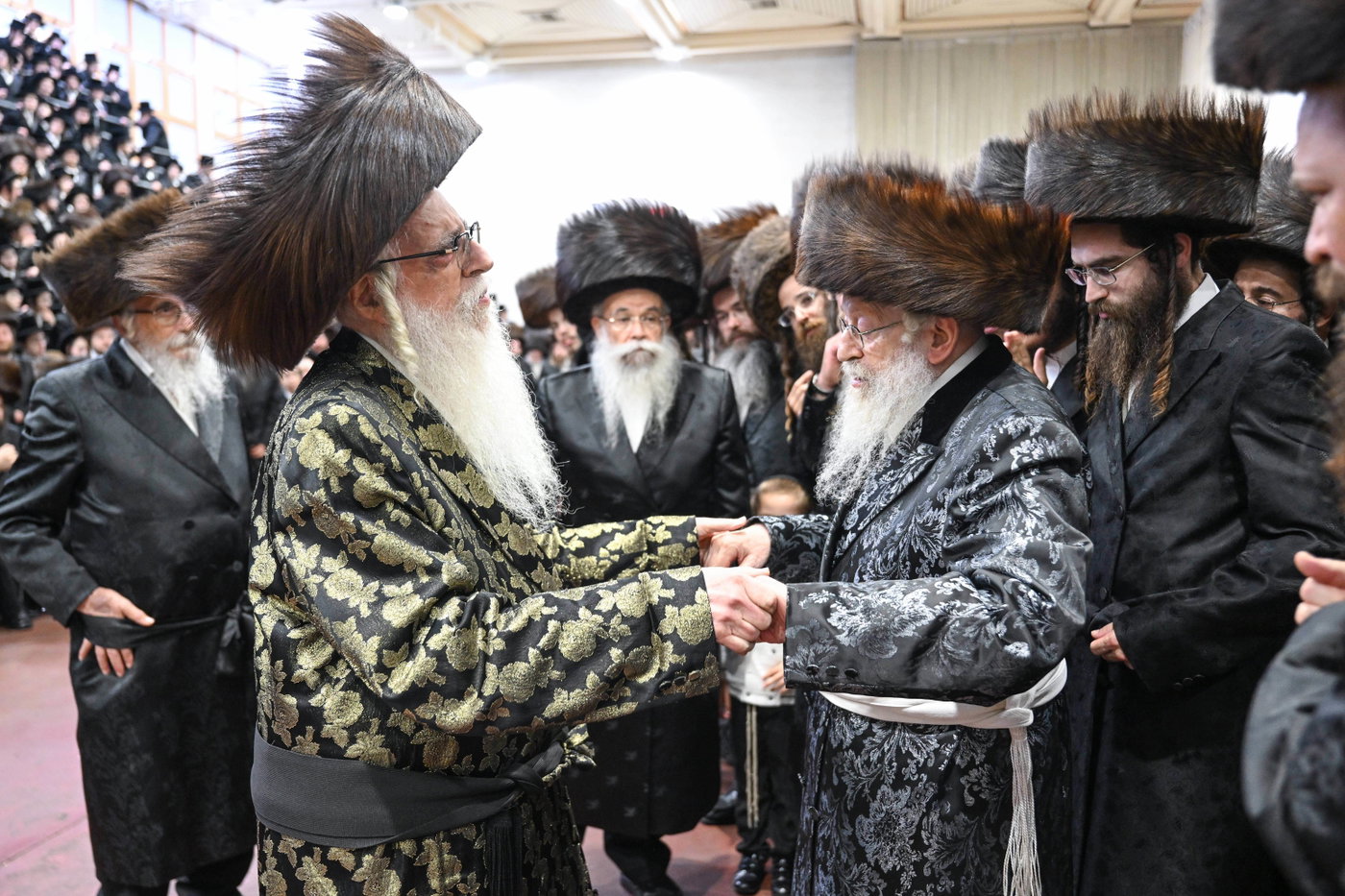 שמחת בית צאנז זוויעהל - נדבורנה חיפה - אטניא