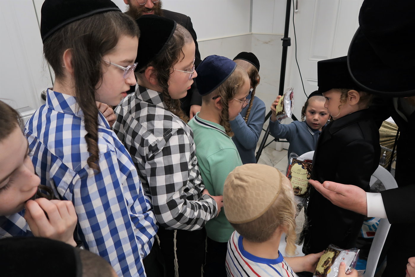 הילולא וחלאקה במיאלען