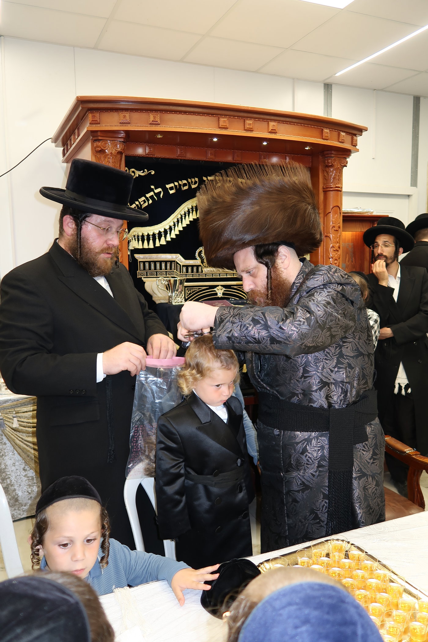 הילולא וחלאקה במיאלען