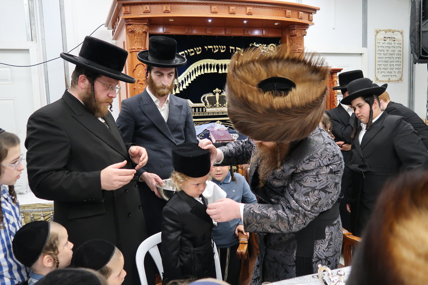הילולא וחלאקה במיאלען
