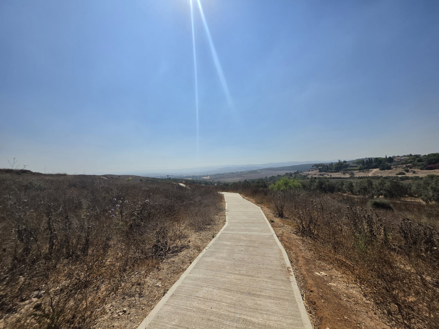 תל גזר