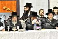 בני האדמו"ר מויז'ניץ 