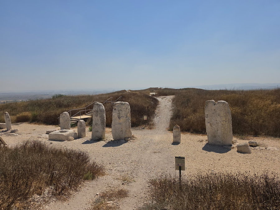 12 האבנים