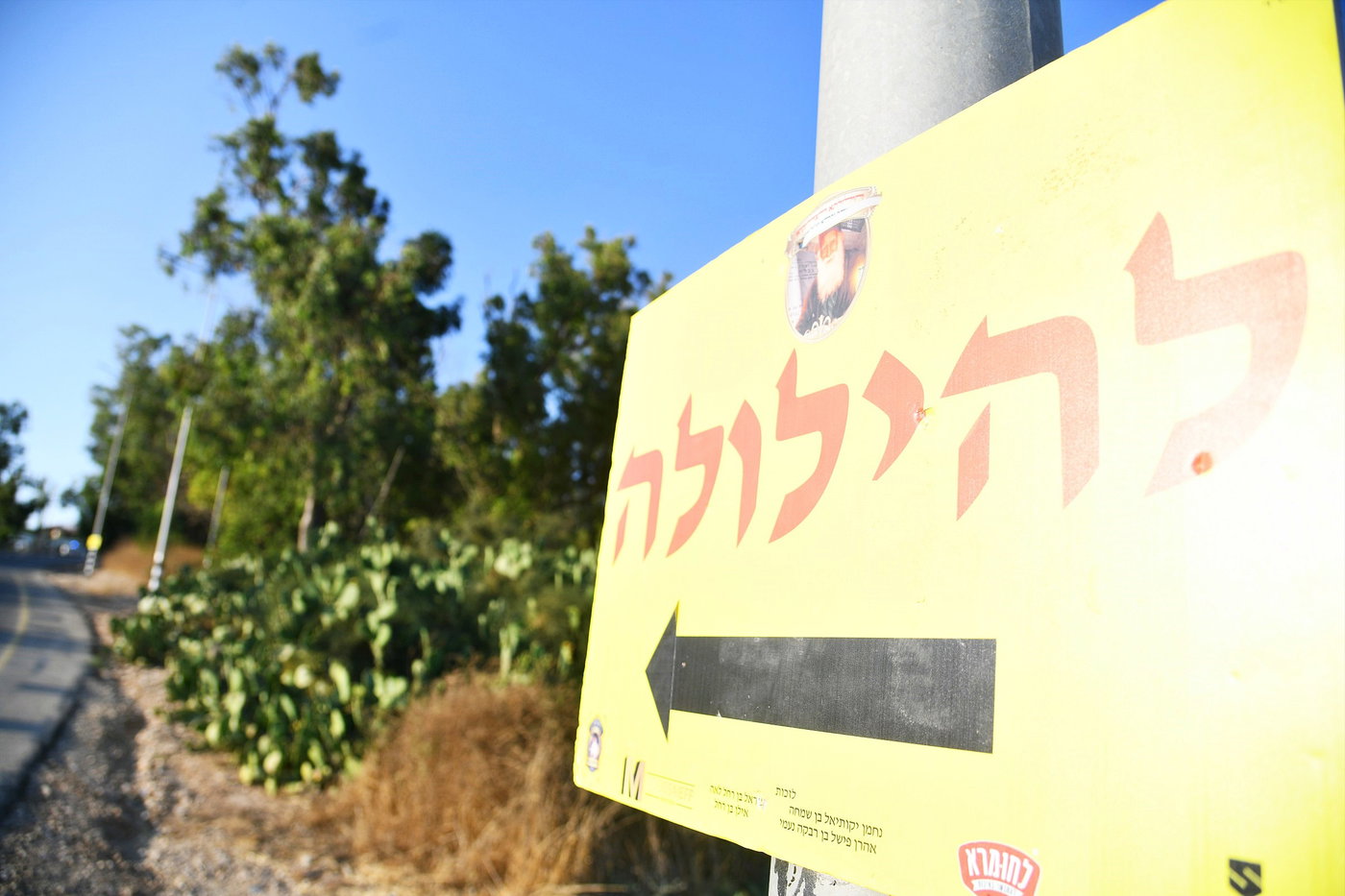 הילולא קדישא בעג'ור