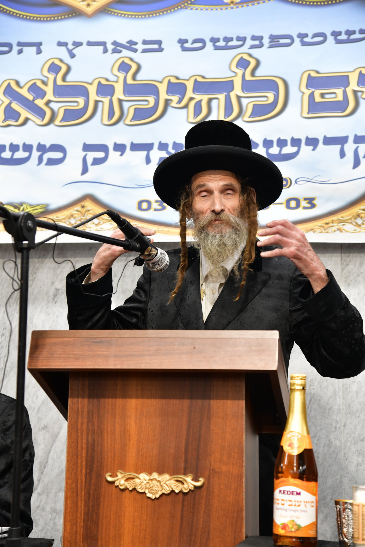 סעודת הילולא בשטעפונשט