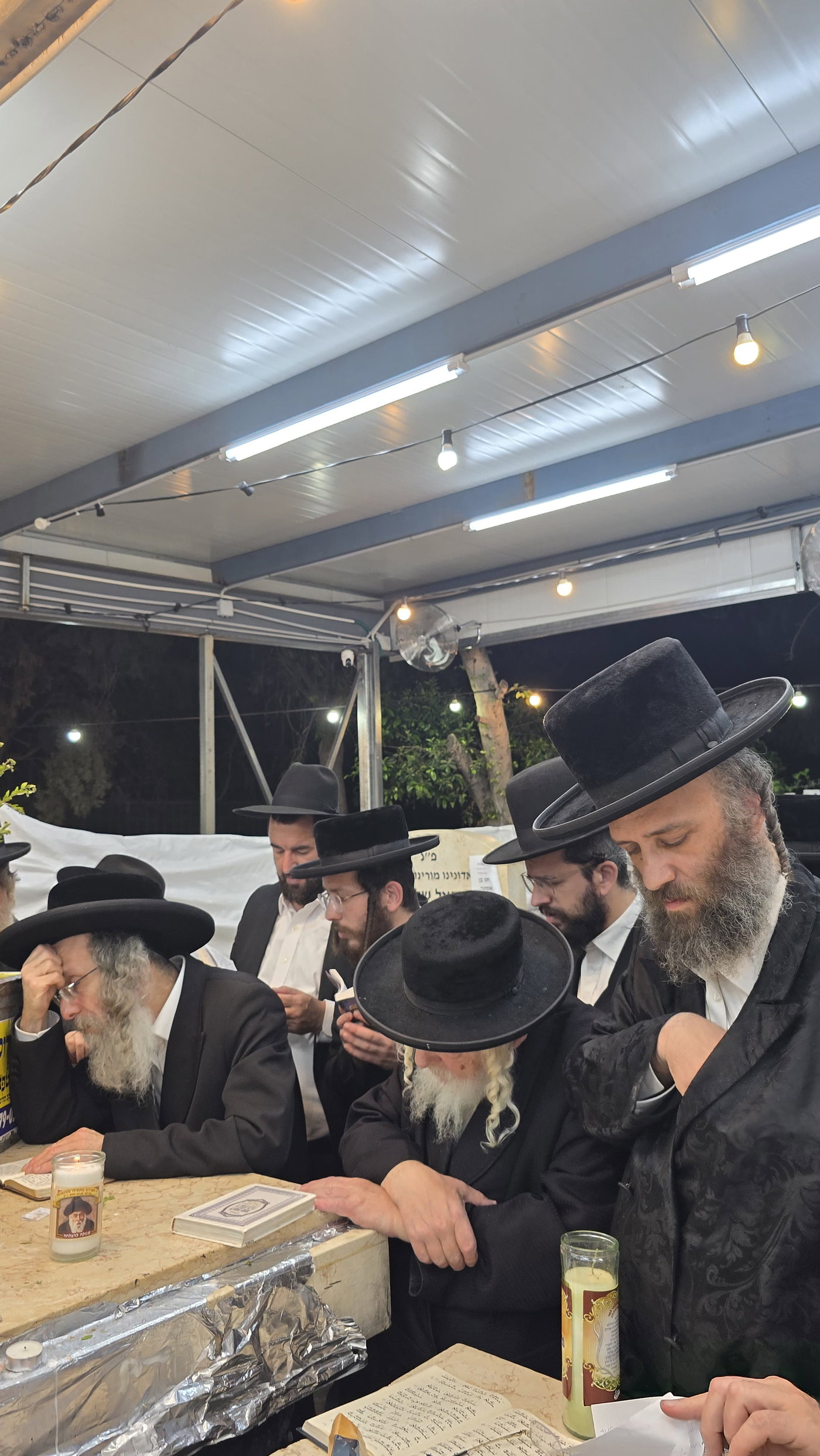 הילולא קדישא בשטעפונשט