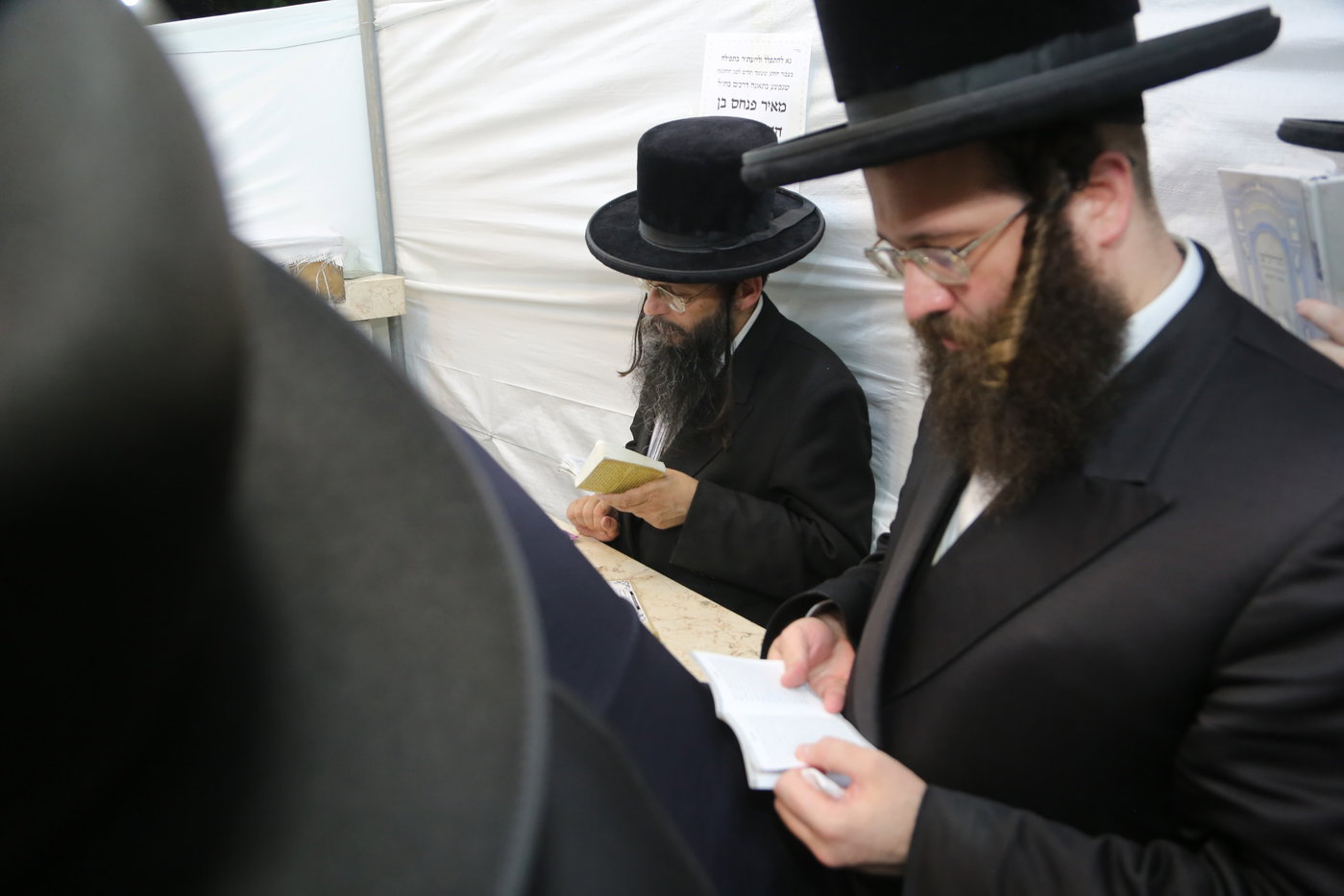 הילולא קדישא בשטעפונשט