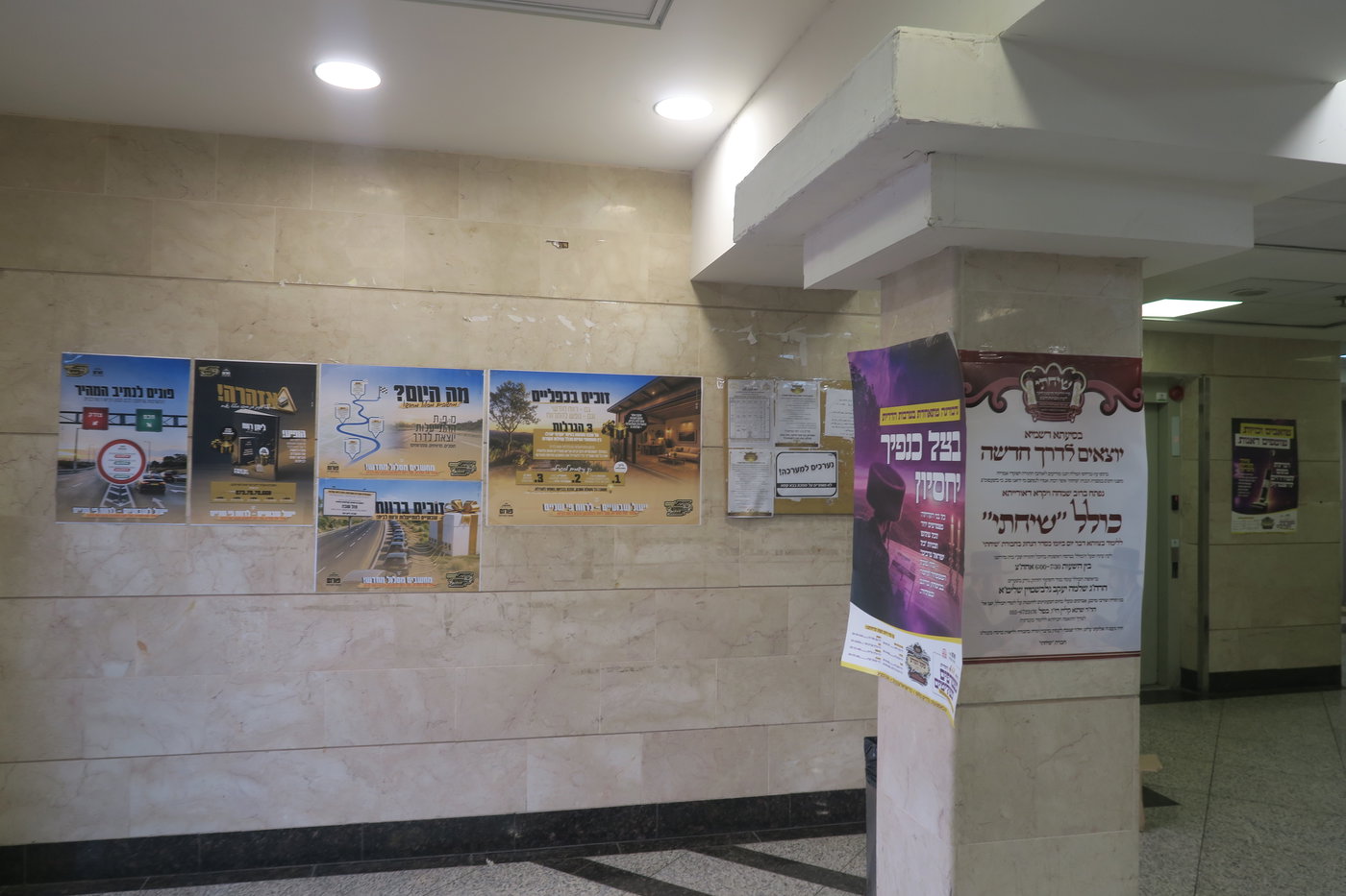 שבת התאחדות לאברכי נדבורנה במודיעין עילית