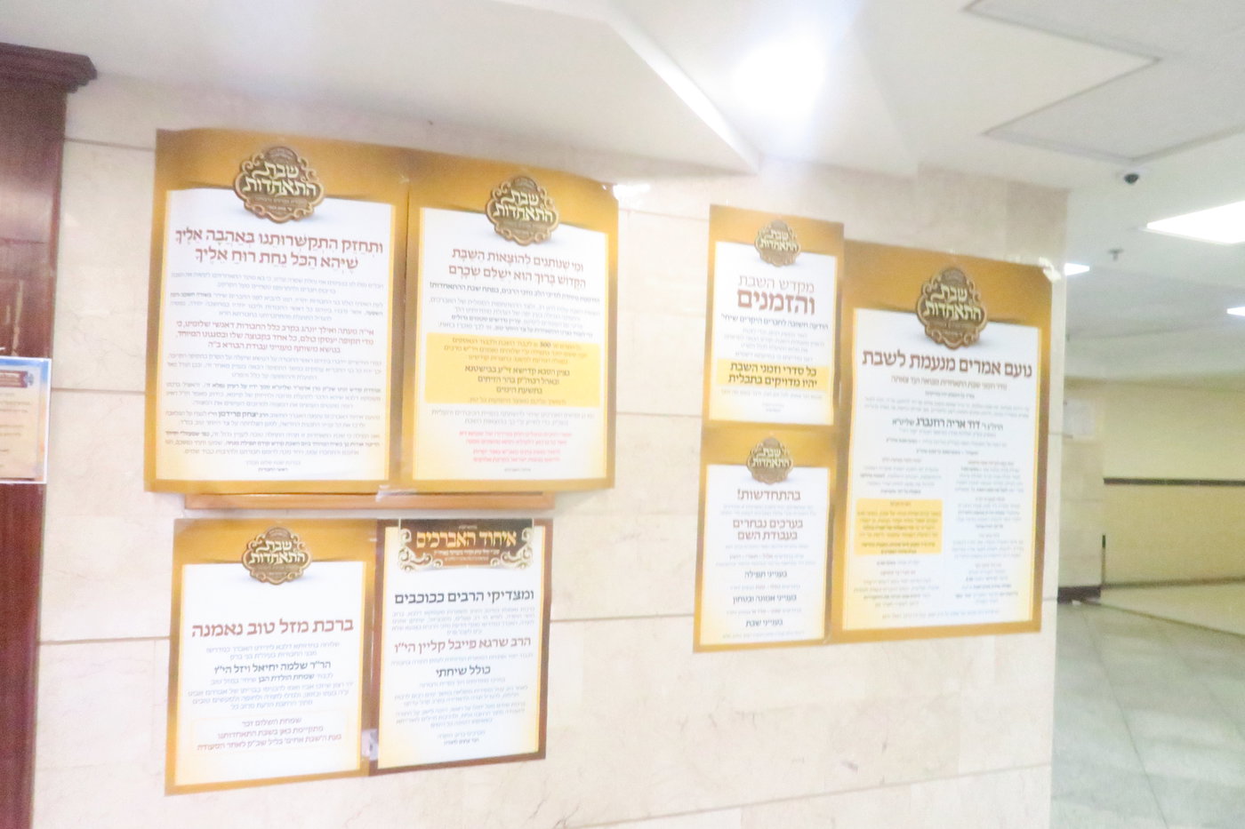 שבת התאחדות לאברכי נדבורנה במודיעין עילית