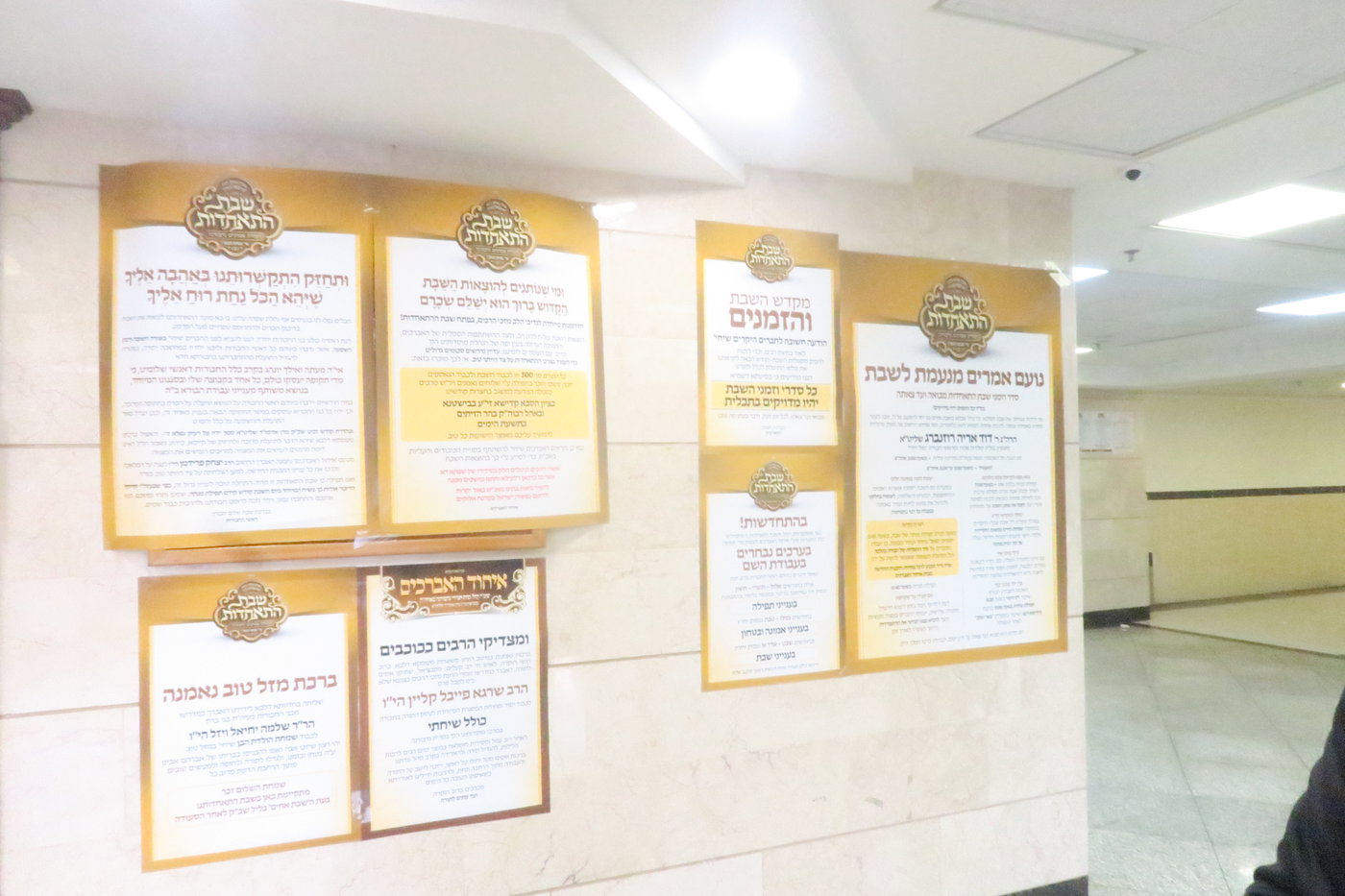 שבת התאחדות לאברכי נדבורנה במודיעין עילית