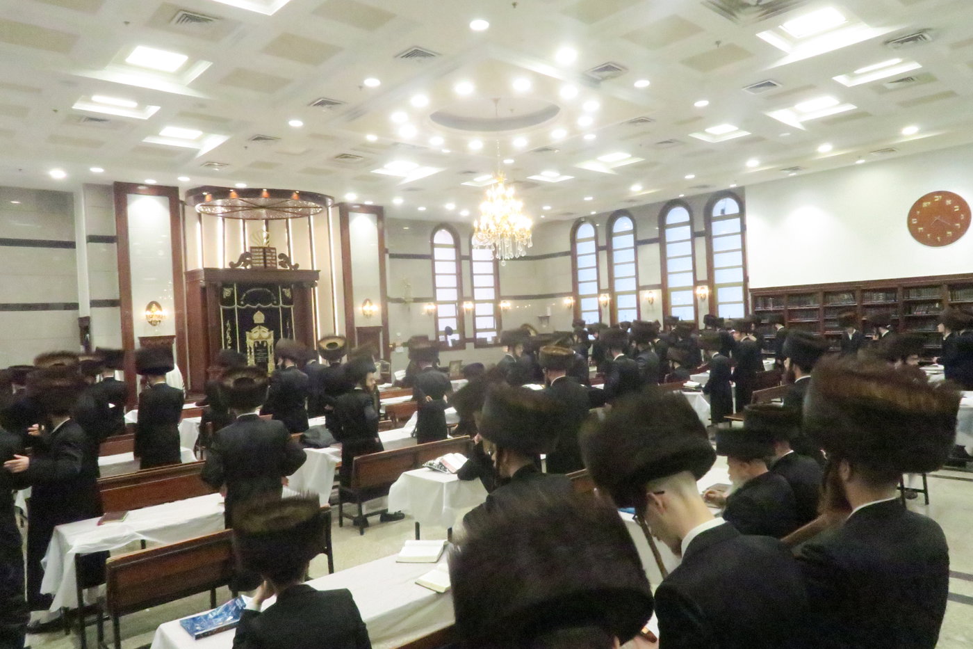 שבת התאחדות לאברכי נדבורנה במודיעין עילית