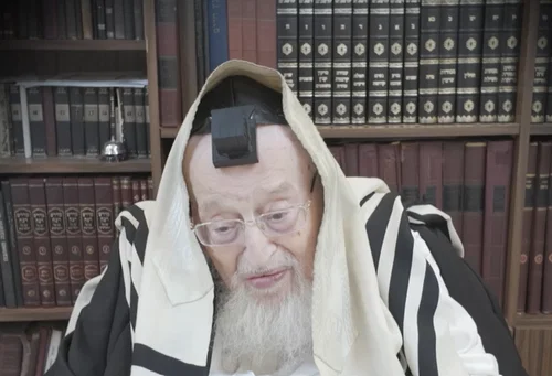 הגרמ"צ ברגמן
